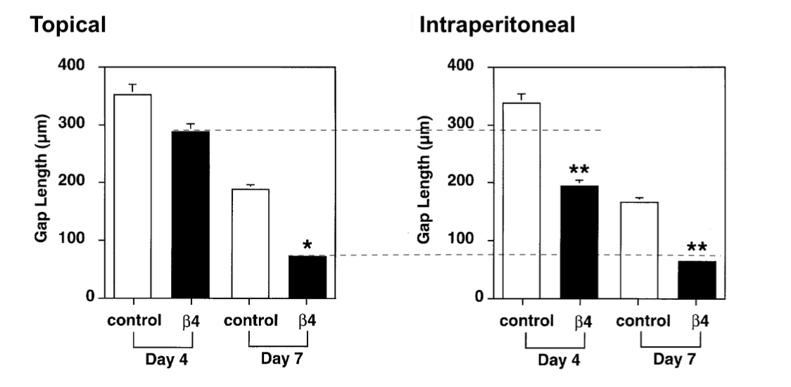 Tβ4 reduced wound gap after either local or intraperitoneal administration in the same full-thickness rat skin-wound model.